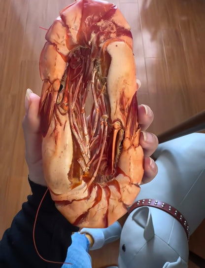 Top-grade / Grilled Dried Shrimp